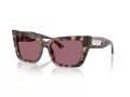 Jimmy Choo Naočare za sunce JC 5041 50701A