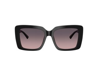 Jimmy Choo Naočare za sunce JC 5042 500046