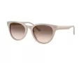 Jimmy Choo Naočare za sunce JC 5043D 50333B