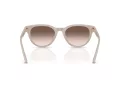 Jimmy Choo Naočare za sunce JC 5043D 50333B