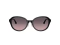 Jimmy Choo Naočare za sunce JC 5044D 500046
