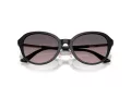 Jimmy Choo Naočare za sunce JC 5044D 500046