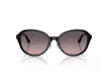 Jimmy Choo Naočare za sunce JC 5044D 500046