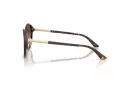 Jimmy Choo Naočare za sunce JC 5044D 500213