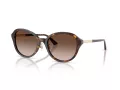 Jimmy Choo Naočare za sunce JC 5044D 500213