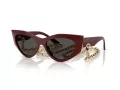 Jimmy Choo Naočare za sunce JC 5045U 505787