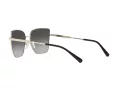 Michael Kors Bastia Naočare za sunce MK 1108 10148G