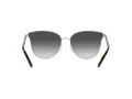 Michael Kors Salt Lake City Naočare za sunce MK 1120 1014/8G