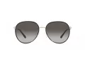 Michael Kors Empire Naočare za sunce MK 1128J 10148G