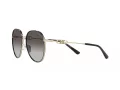 Michael Kors Empire Naočare za sunce MK 1128J 10148G