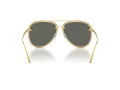 Michael Kors Portofino Naočare za sunce MK 1147 18967P