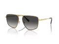 Michael Kors Silverton Naočare za sunce MK 1153 18968G