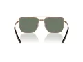 Michael Kors Blue Ridge Naočare za sunce MK 1154 18993H