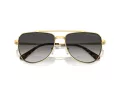 Michael Kors Whistler Naočare za sunce MK 1155 18968G