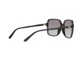 Michael Kors Isle Of Palms Naočare za sunce MK 2098U 3005/11
