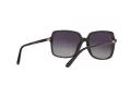 Michael Kors Isle Of Palms Naočare za sunce MK 2098U 3781/T3