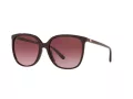 Michael Kors Anaheim Naočare za sunce MK 2137U 3344/8H