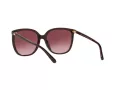 Michael Kors Anaheim Naočare za sunce MK 2137U 3344/8H