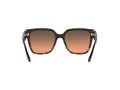 Michael Kors Karlie Naočare za sunce 2170U 390818