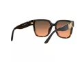Michael Kors Karlie Naočare za sunce 2170U 390818