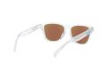 Oakley Frogskins Xs Naočare za sunce OJ 9006 15
