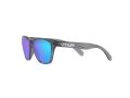 Oakley Frogskins Xxs Naočare za sunce OJ 9009 02