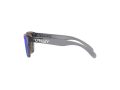 Oakley Frogskins Xxs Naočare za sunce OJ 9009 02