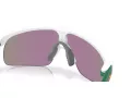Oakley Resistor Naočare za sunce OJ 9010 33