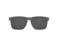 Oakley Holbrook Metal Naočare za sunce OO 4123 412306