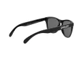 Oakley Frogskins Naočare za sunce OO 9013 24-306