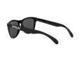 Oakley Frogskins Naočare za sunce OO 9013 C4