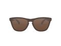 Oakley Frogskins Naočare za sunce OO 9013 C5