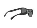 Oakley Frogskins Naočare za sunce OO 9013 F7
