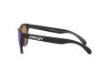 Oakley Frogskins Naočare za sunce OO 9013 H6