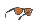 Oakley Frogskins Naočare za sunce OO 9013 H6