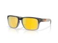 Oakley Holbrook Naočare za sunce OO 9102 AH