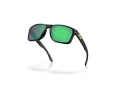 Oakley Holbrook Naočare za sunce OO 9102 AI