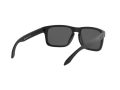 Oakley Holbrook Naočare za sunce 9102 D6