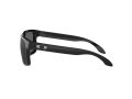 Oakley Holbrook Naočare za sunce 9102 E1