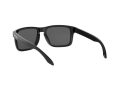 Oakley Holbrook Naočare za sunce 9102 E1