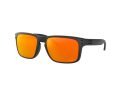 Oakley Holbrook Naočare za sunce 9102 E2