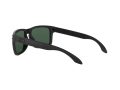 Oakley Holbrook Naočare za sunce 9102 E2