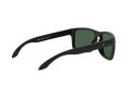Oakley Holbrook Naočare za sunce 9102 E2