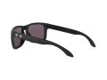 Oakley Holbrook Naočare za sunce OO 9102 E8