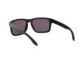 Oakley Holbrook Naočare za sunce OO 9102 E8