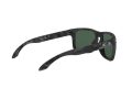 Oakley Holbrook Naočare za sunce 9102 E9