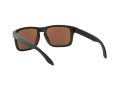 Oakley Holbrook Naočare za sunce 9102 F0