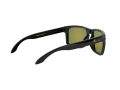 Oakley Holbrook Naočare za sunce OO 9102 F1