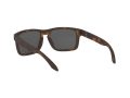 Oakley Holbrook Naočare za sunce 9102 F4