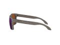 Oakley Holbrook Naočare za sunce 9102 J8